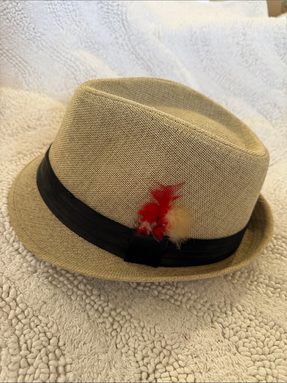 Men's Tan Fedora Hat with Black Band and Red Feather